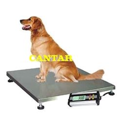 Cantar electronic  tcs-d vet