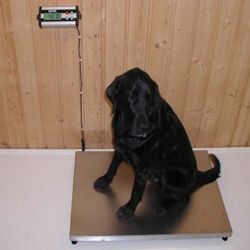 Cantar electronic fcs-c pet