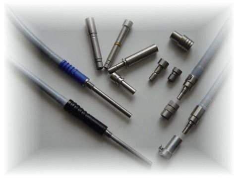 Lama McIntosh Kawe Economy