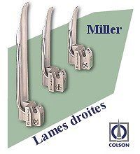 Lama Miller Kawe Economy