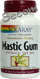Mastic gum extract