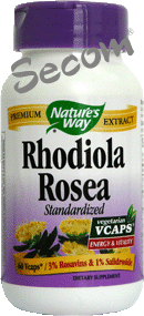 Rhodiola rosea