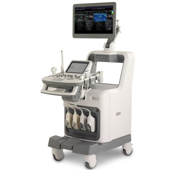 Ecograf accuvix a30 4d live doppler color