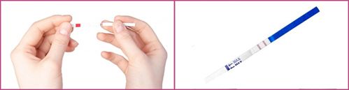 Test Sarcina HCG urina