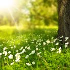 Relaxare cu imagerie dirijata