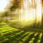 Online - Hipnopsihoterapie