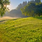 Online - Hipnoza ericksoniana