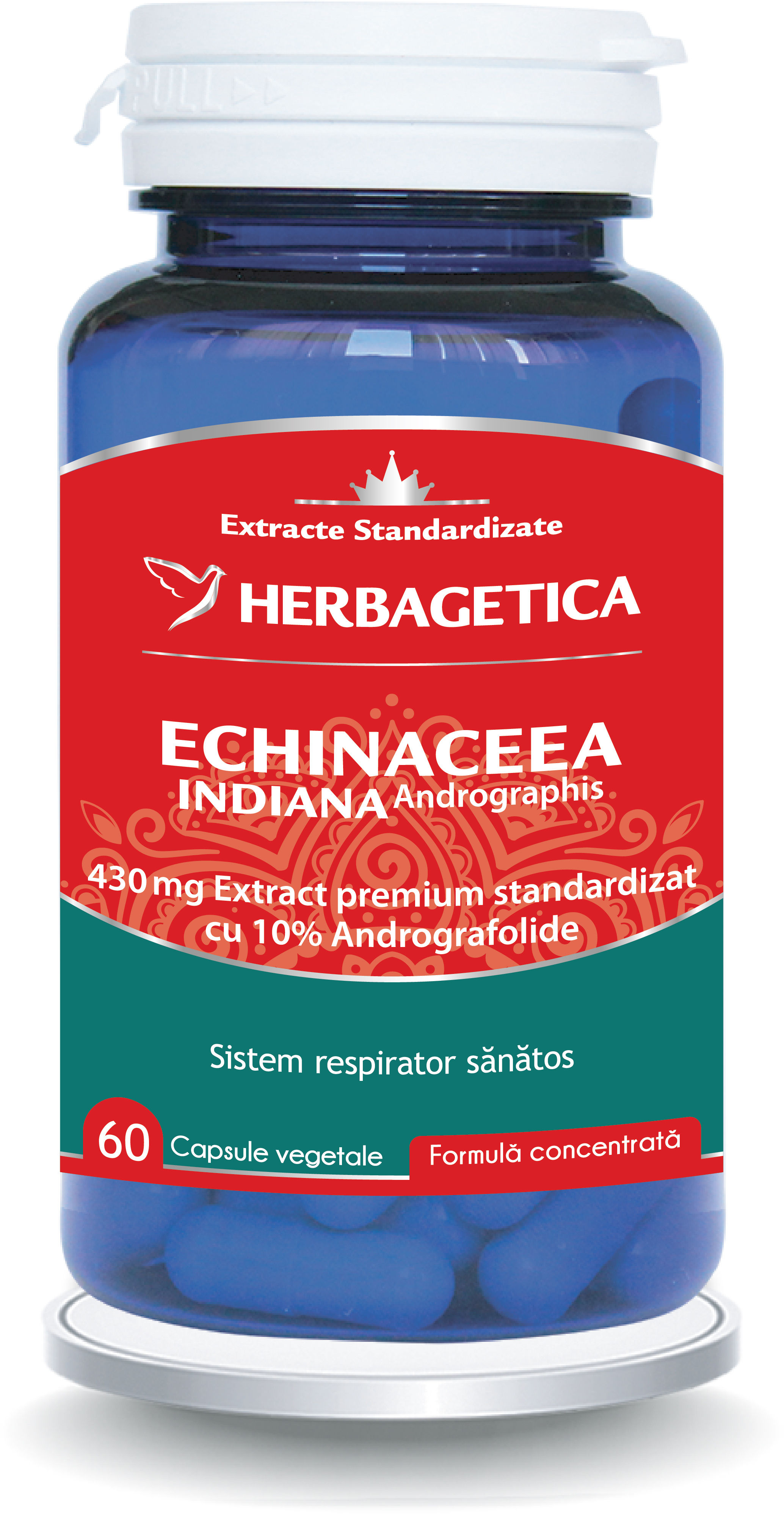 Echinaceea indiana