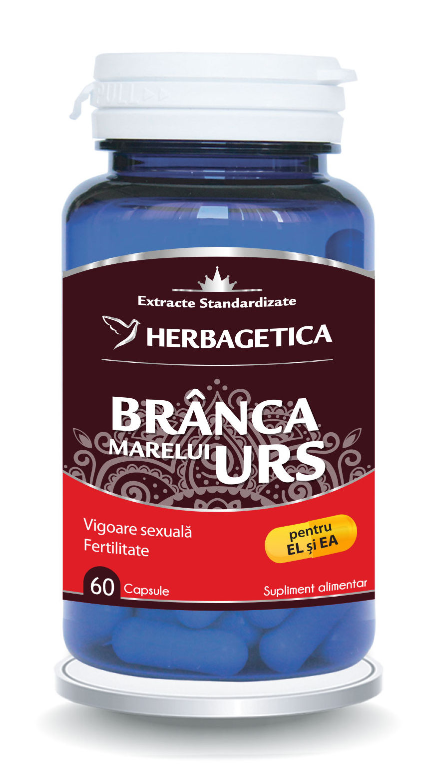 Branca marelui urs