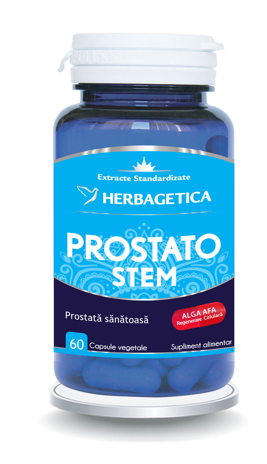 PROSTATO STEM
