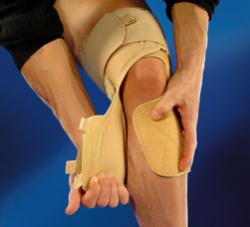 Eu 4315 genum liga-ease