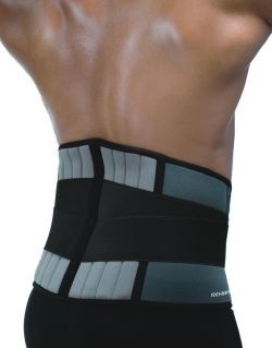 7732 back support stable