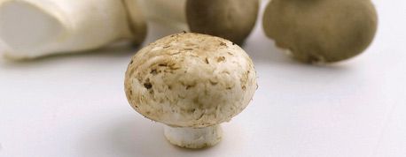 Alergiile