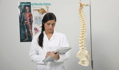 Ghid de Anatomie