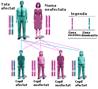 Mostenirea unor boli autozomal dominante