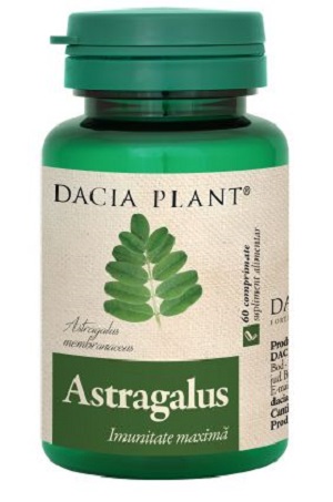 Astragalus, 60 comprimate, Dacia Plant