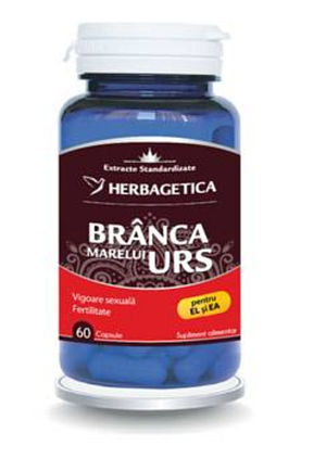 Branca Marelui Urs, 60 capsule, Herbagetica