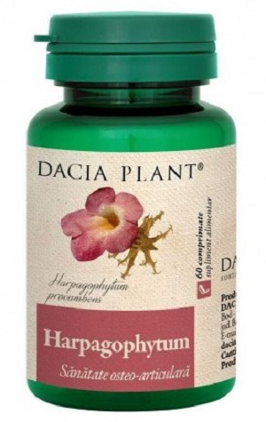 Harpagophytum, 60 comprimate, Dacia Plant