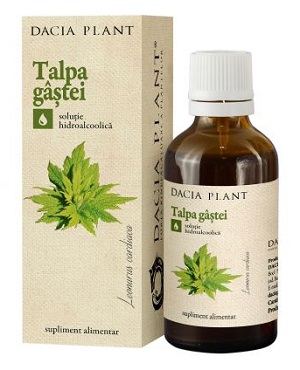 Tinctura de Talpa Gastei, 50 ml, Dacia Plant