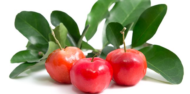 
Vitamina C din fructul de Acerola – cel mai puternic antioxidant
