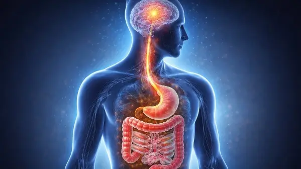 Cand anxietatea doare - legatura dintre stres si bolile digestive