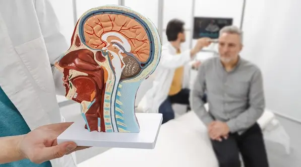 Cand nervul vag nu functioneaza corect: afectiuni si impact asupra sanatatii
