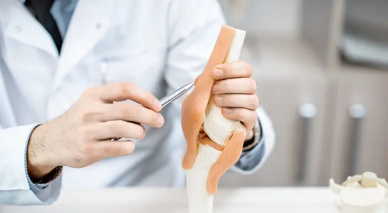 Solutii eficiente pentru regenerarea cartilajului articular