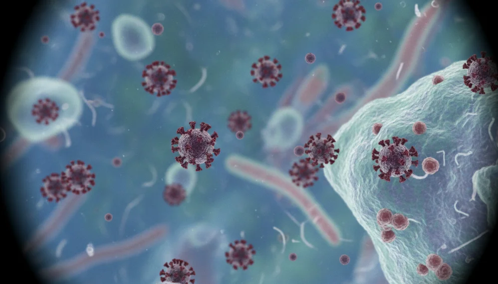 Gripa porcina virusul A H1N1
