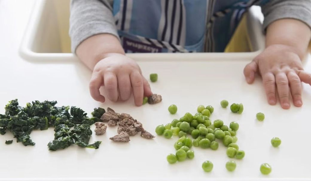 Ce alimente sunt potrivite pentru bebelusi dupa 6 luni