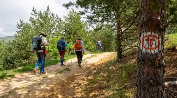 MedLife devine partener de sanatate si wellbeing in proiectul Via Transilvanica, „drumul care uneste”